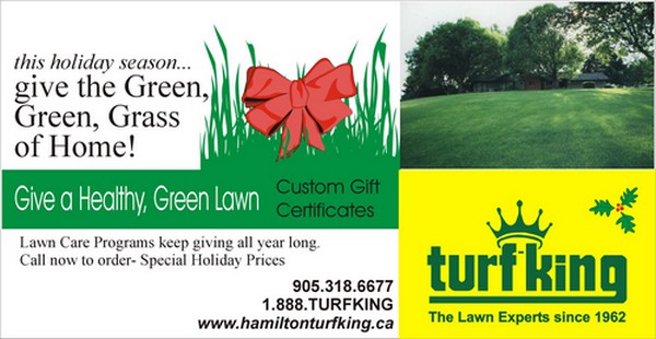 Turf King Lawn Care Christmas FLyer