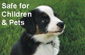 Fiesta Weed control is Safe for pets children